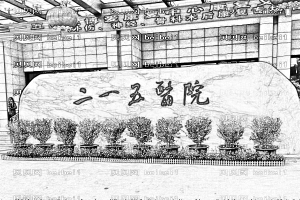 陕西省核工业二一五医院