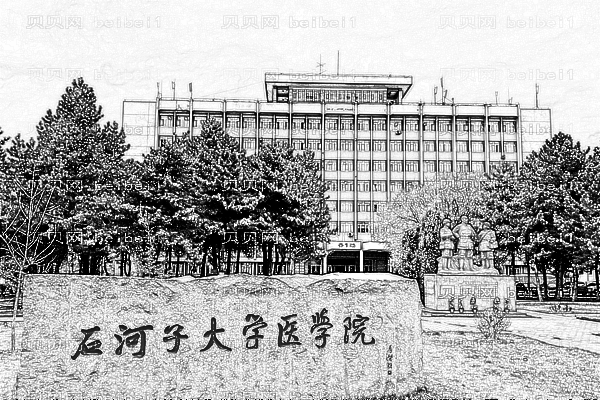 石河子大学医学院第一附属医院