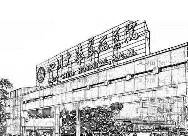 成都华西医院假体隆鼻+鼻翼缩小做的怎么样呢 费用大概多少钱额?