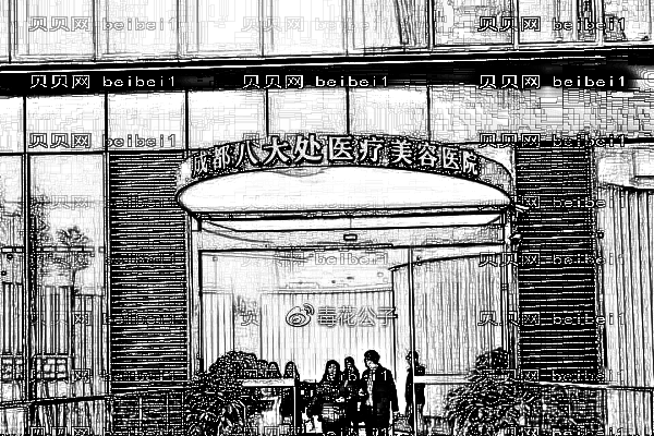成都八大处鼻部修复做的好吗_医生名单