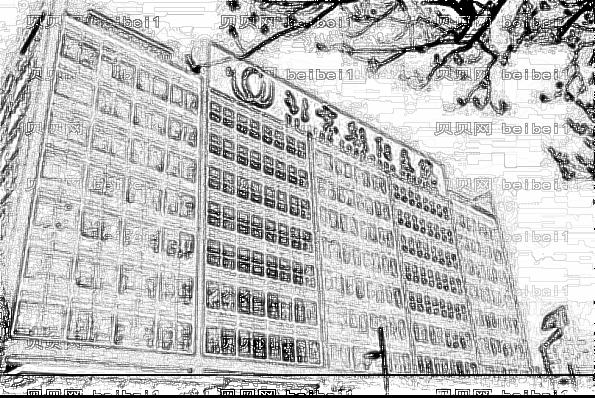 北京朝阳医院植发做的好吗_哪位医生做的好