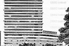 上海同济大学附属东方医院口腔科