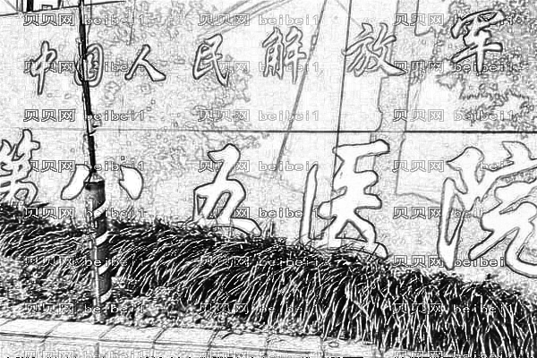 上海85医院口腔科