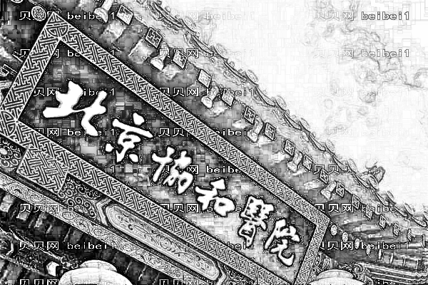 北京隆鼻三甲公立医院介绍_北京隆鼻三甲医院排名前三