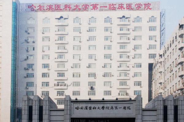 哈尔滨脂肪填充整形医院介绍_实力人气双双在线