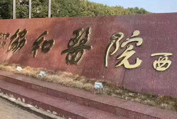 武汉抽脂整形专家介绍(武汉前十医生名单一览)