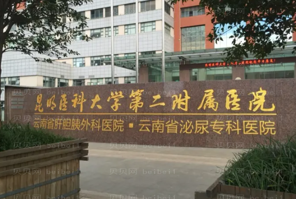 昆明做眼睛整形专家介绍(前八做眼睛医生名单一览)