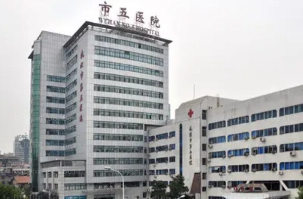 武汉全脸填充整形专家介绍_前八全脸填充医生介绍