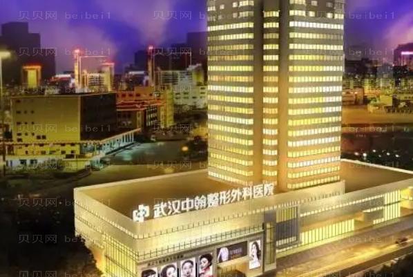 武汉全脸填充整形专家介绍_前八全脸填充医生介绍