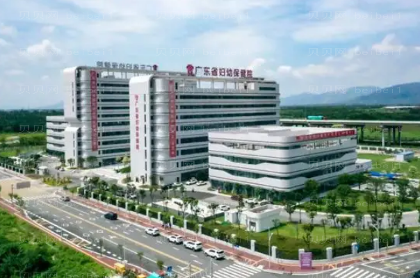 广州头发种植整形专家介绍_前八头发种植医生名单