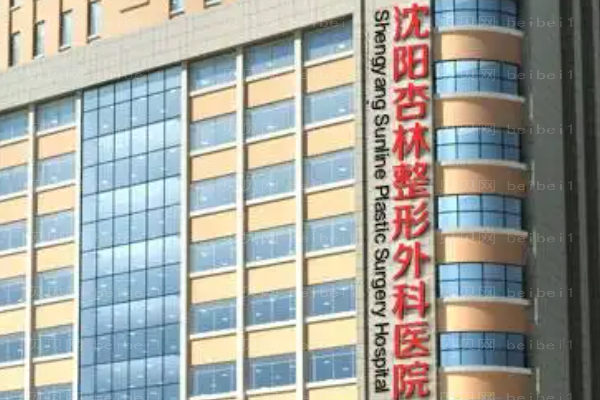 沈阳杏林膨体隆鼻正规吗?附整形价格一览