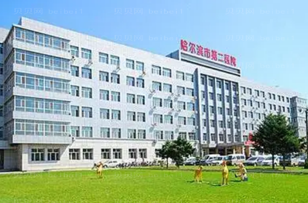 哈尔滨鼻修复整形专家介绍前八医生介绍