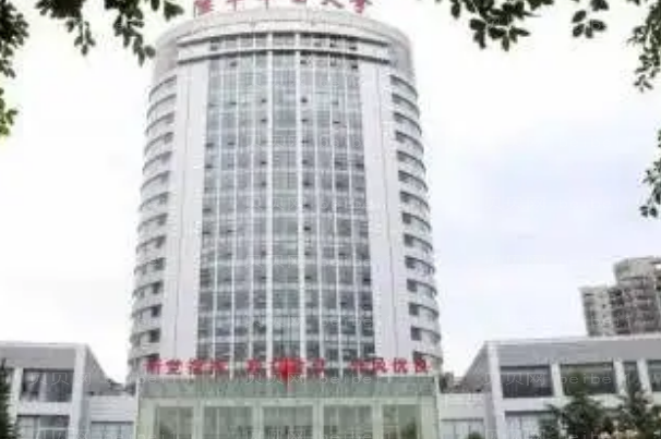 重庆隆鼻整形专家介绍(前八医生名单一览)