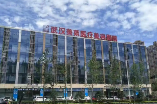 武汉拉皮手术整形专家介绍(武汉前八拉皮手术医生名单一览)