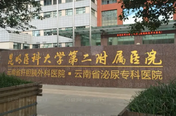 昆明做鼻子整形专家介绍(昆明前八医生名单揭晓)