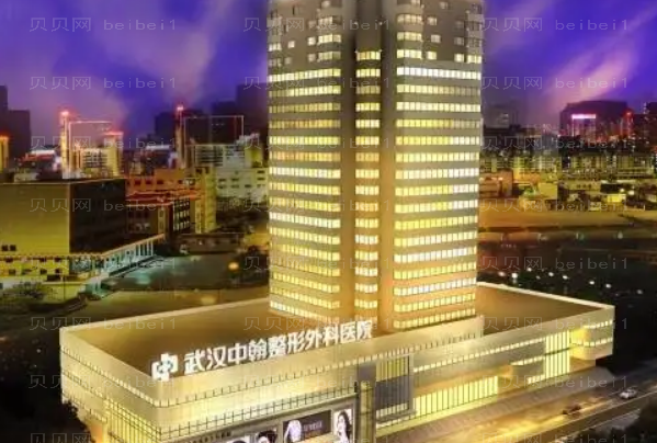 武汉脂肪填充整形专家介绍(武汉前八脂肪填充医生名单一览)