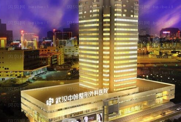 武汉隆鼻整形专家介绍(武汉前八隆鼻医生名单一览)
