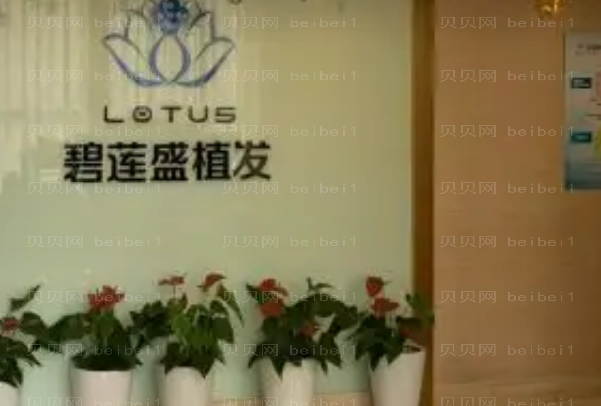 济南碧莲盛植发医生排名分享!技术实力拉满!