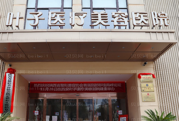 西安叶子鼻部综合价格查看!做的怎么样?