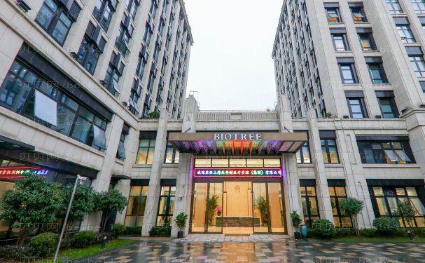 上海生命树价格及坐诊医生排名评价公布!