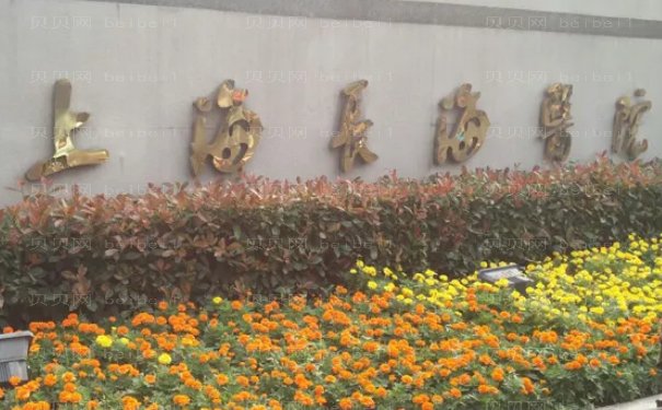 上海长海脂肪移植医生(专家)排名前3名单一览