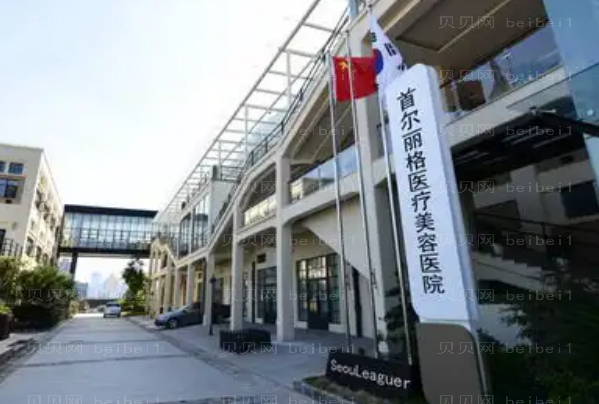 上海首尔丽格隆鼻医生排名来了,这3位着重了解