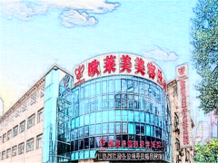 上海欧莱美眼睑下至专家介绍,前三都是实力派医生