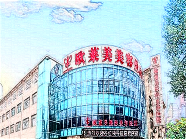 上海欧莱美眼睑下至专家介绍,前三都是实力派医生
