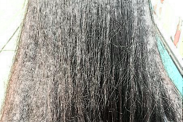上海植发整形专家介绍_前五名单查看