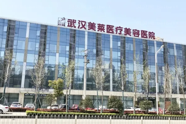 武汉丰额头去哪家医院好|价格需要多少