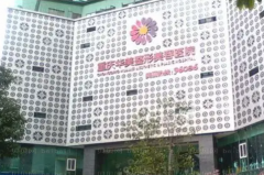 重庆丰脸颊医院介绍,排名揭秘!