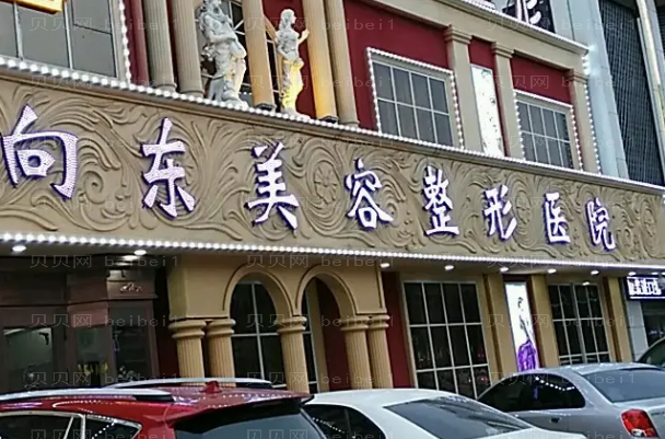 淄博向东整形耳部畸形矫正做的好吗?医生排名出炉!