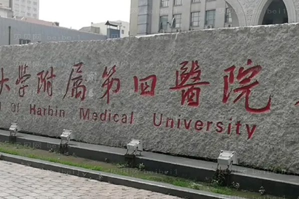 哈尔滨肋软骨垫鼻尖整形医生前三介绍公布
