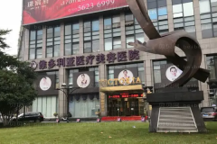 海宁维多利亚面部提升医生介绍!想做提升选哪位医生