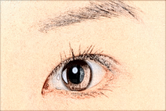近视眼的调节方法有哪些?怎样改良近视眼?