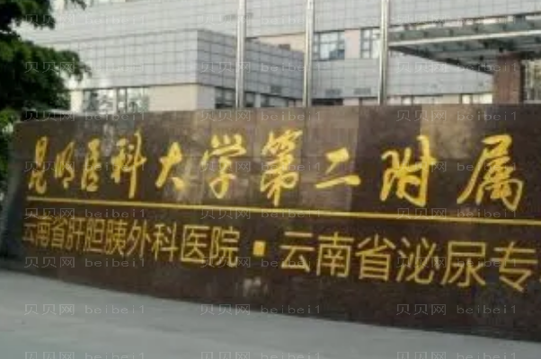 昆明面部年轻化医生前八名人气盘点