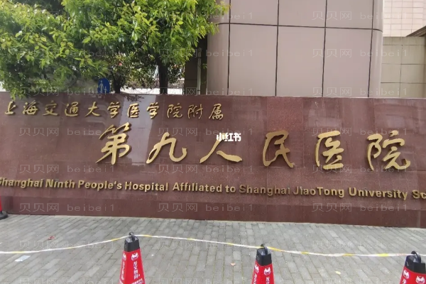 国内隆胸手术前十专家