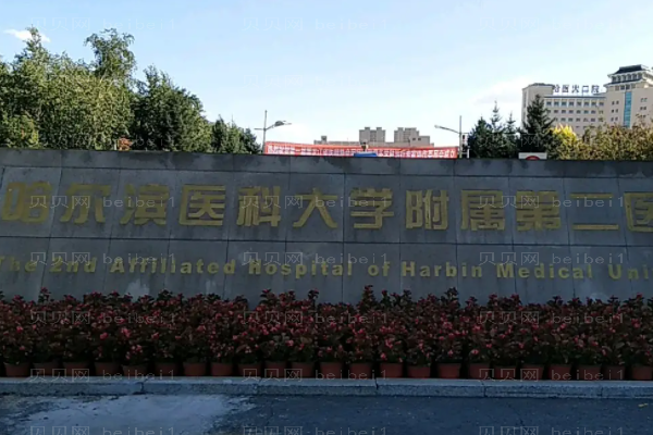 哈尔滨膨体隆鼻口碑医生榜一览