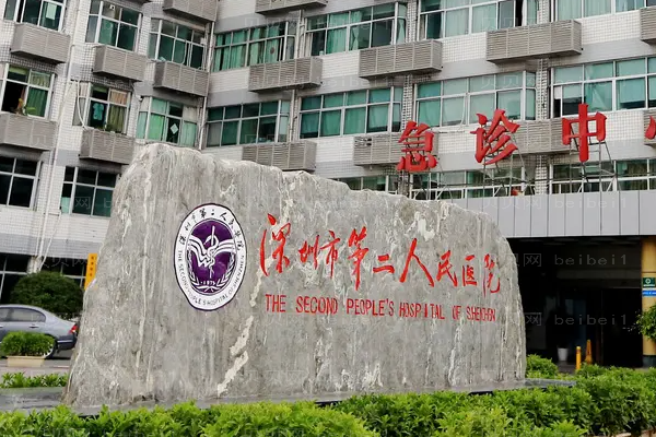 深圳丰额头专家前十