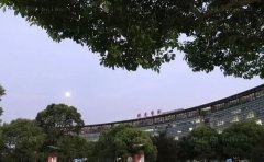 上海曙光医院种植眉毛好吗