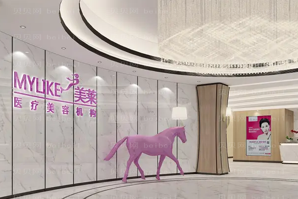衡阳眉部整形坐诊医生名单揭晓!