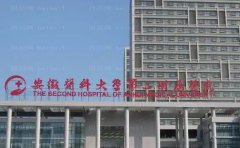 安徽医科大学第二附属医院整形外科怎么样