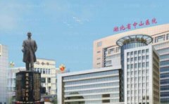 武汉大学中山医院鼻部综合医生谁做得好