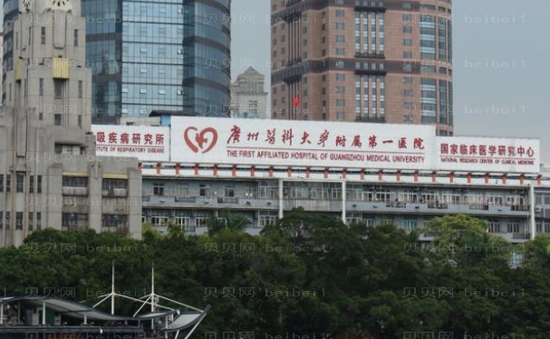 广州丰耳垂医院名单展示