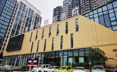 恩施小耳畸形矫正医生哪个好