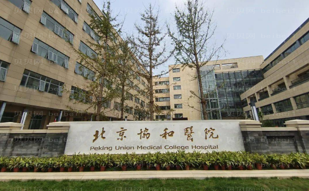 北京协和医院西院鼻部综合比较好的医生