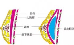 恩施假体隆胸技术好的医生有哪些