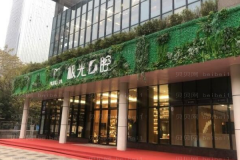 成都锦江极光洗牙主要采用的是什么方式？