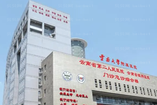 昆明哪些实力整形医院可以做激光去雀斑?