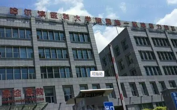 哈尔滨睑外翻矫正术哪个医院做得好
